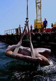 Raising a colossal granite statue from the seabed