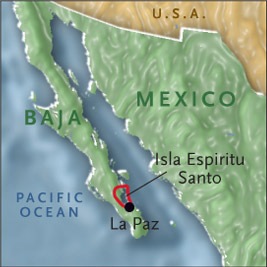 [WEBMAP2010_KSC[4].jpg]