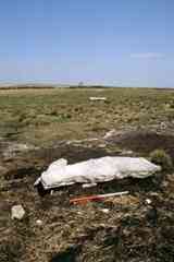 Locals and walkers have known about the Cut Hill stone row for many years