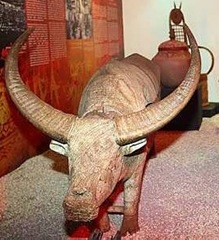 This type of coffin or erong, from the Sa’dan region of Central Sulawesi and shaped like a buffalo, is used to inter the remains of a member of the middle-class