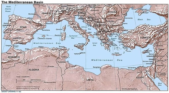 [ProfileRachelMediterranean[6].jpg]