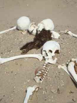 Looted Nazcan Burial