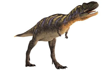 [dinosaur_1622654c[5].jpg]