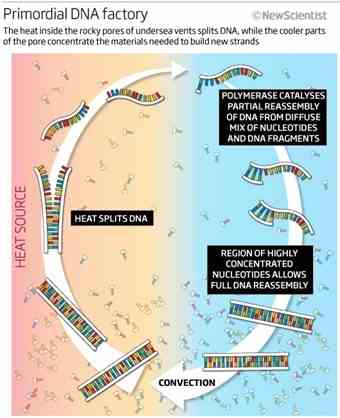 Primordial DNA Factory
