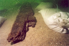 [feature_Blackbeard1[5].jpg]