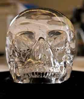 Front view of skull (James Di Loreto/Courtesy Smithsonian Institution) 