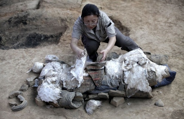 [Terracotta4_721434d[5].jpg]