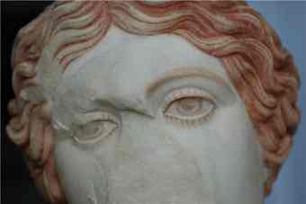 Artifacts such as this Amazon Head could be studied in great detail within a year