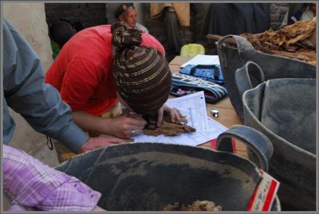 [egypt_mummies2[5].jpg]