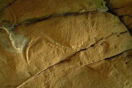 [v0_master_03[5].jpg]