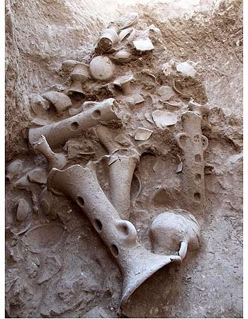 [hafir2.jpg_hh[6].jpg]