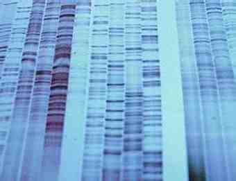 The SETG project is putting together an instrument that could go to Mars and search soil or ice samples for the presence of DNA.