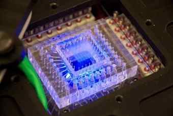 This 2 centimeter by 2 centimeter microfluidic chip is part of the SETG instrument. Tiny tubes feed in chemicals and ultraviolet light illuminates fluorescent dyes that help identify and analyze DNA.