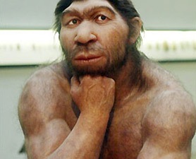 [neanderthal2-278x225[5].jpg]
