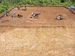 Excavations on the site, 2008