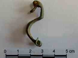 The bronze brooch with duck head motif found at the site 