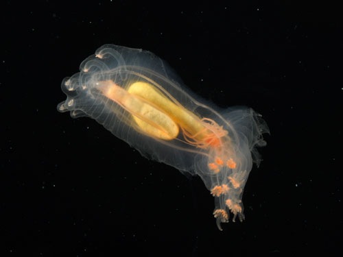 [00393bda49c[5].jpg]