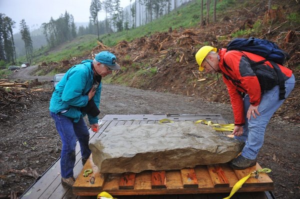 [284-dinosaur_bird_PAD.standalone.prod_affiliate.5[5].jpg]