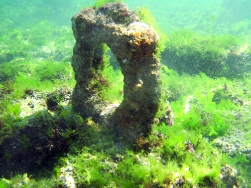 [photo_verybig_118352[5].jpg]