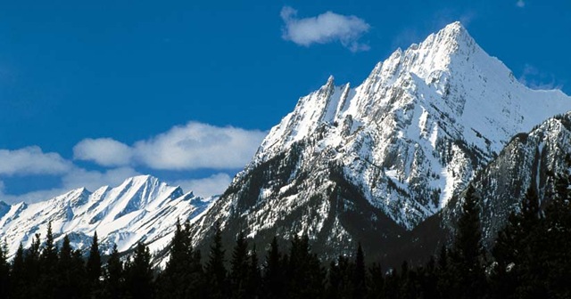 [rockies-zoom[5].jpg]