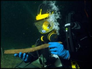 [genthumb.ashx[5].jpg]