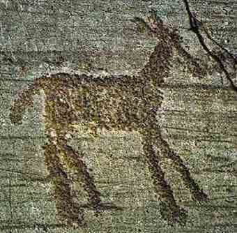 Horse on Naquane rock n. 1 (Iron Age)