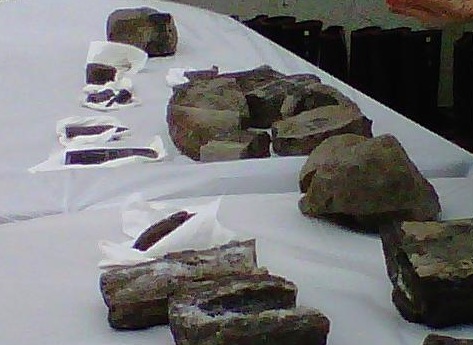 [3432729.bin[6].jpg]