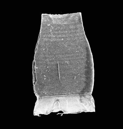 [100809161228-large[5].jpg]