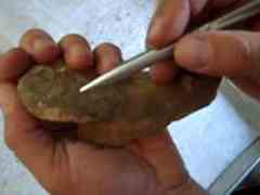 Archeologists have found thousands of artifacts at a site on Highway 26 north of Milton.