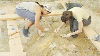 Excavations ar Orce