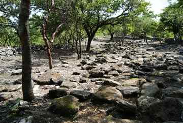The study of the nearly 240 meters-long ceremonial road broadens the research area of the site located in the Mexican state of Morelos. 