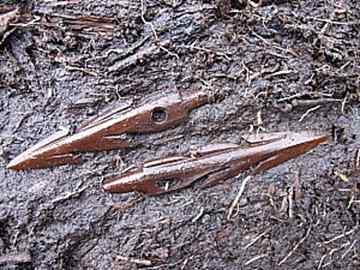 Antler harpoon points found at the site near Quinhagak. (Courtesy Photo, Photo courtesy of Rick Knecht)
