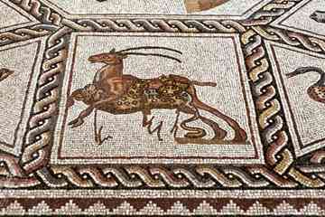Detail of the Roman mosaic, from Lod, Israel, dating to about 300 A.D., on the floor of the Metropolitan Museum of Art.