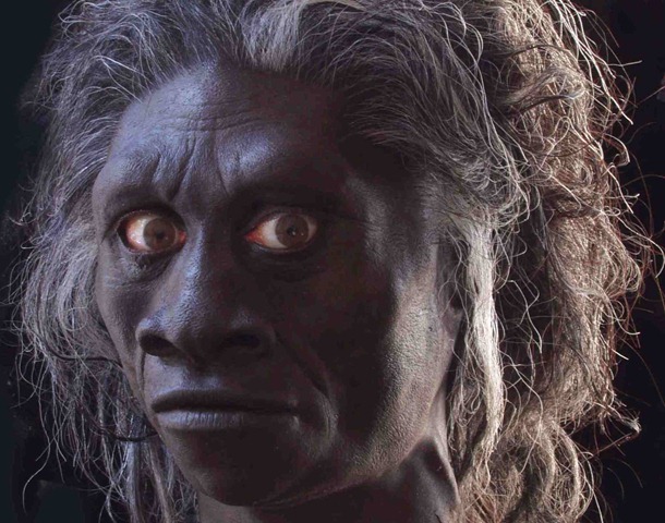 [hobbit head-lo[5].jpg]