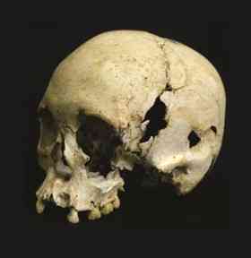 The skull of Luzia, possibly the oldest skeleton in the Americas, who has facial features distinctive of Australian Aborigines.