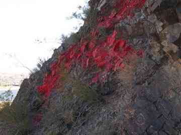 Paint on Hayden Butte in Tempe. Petroglyph in foreground. 