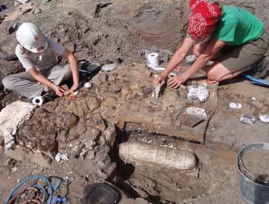 [3622677.bin[7].jpg]