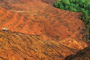 [CNG-rubber-picture2[5].jpg]