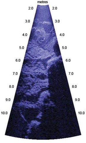 [Dunwich-sonar_article.79203703755488[6].jpg]