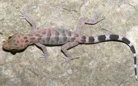 [images2050115_1[5].jpg]