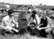 Experts examine the Hasholme Boat when it was first discovered.