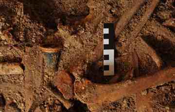 This obsidian cup with gold accents was found inbetween human skeletal remains in the low vault of the Royal Palace. Photo by Marc Steinmetz, University of Tubingen