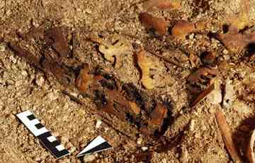 Remains of the wooden box, inlaid with ivory found in the Royal Palace tomb. Photo by Peter Pfalzner, University of Tubingen