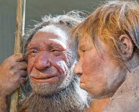 [neanderthal-278x225[5].jpg]