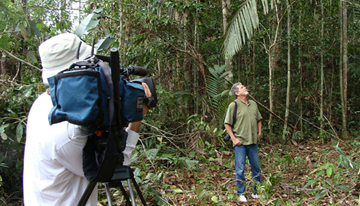 Paulo Adario, Greenpeace's Amazon Director, says that the tipping point for ecosystems is after 20% loss of forest coverage.