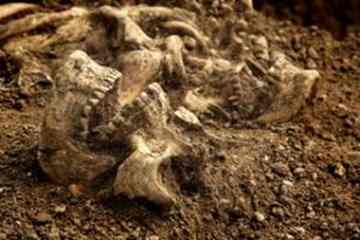 The remains of 34 to 38 young men were discovered in March 2008, during excavations for a new college building.