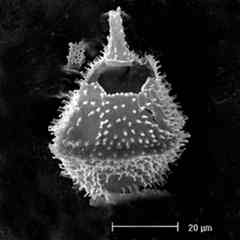 the-heat-was-on-atmospheric_1