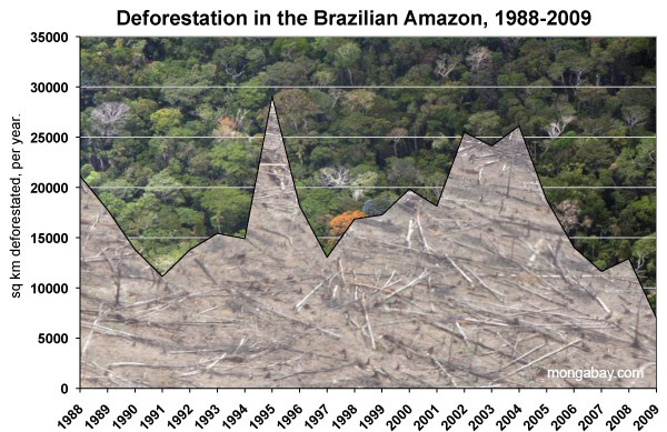 [braz_defor_88-05-600[5].jpg]