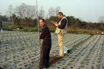 Associate Professor of Anthropological Archaeology Rowan Flad (right) conducts an auger survey during the 2009-10 season. Survey techniques commonly used by archaeologists aren’t useful in the Chengdu Plain because surface materials are obscured by the ongoing agricultural uses of the land. Team members must drill 2-meter-deep survey holes at regular intervals with hand augers. Photo credit: Rowan Flad. 