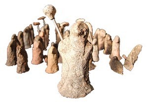 [resized_Crkvine[7].jpg]